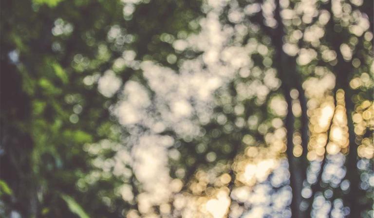 Why we keep rereading the same few books